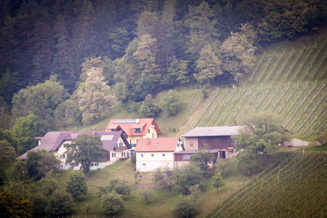Weinbau Pronegg Vlg. Krainz Apartamento Leutschach Exterior foto